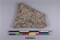 藏品(集體三葉蟲化石)的圖片